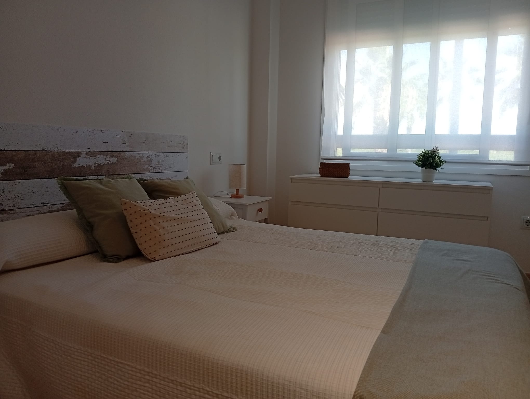 49975_1 (4).jpeg